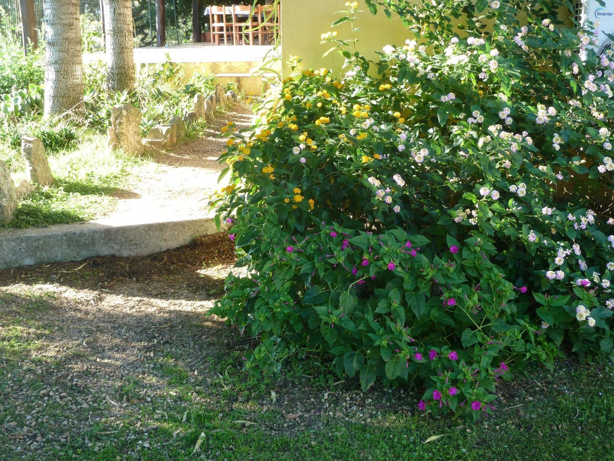 Agriturismo Vaddidulimu Luogosanto Bagian luar foto