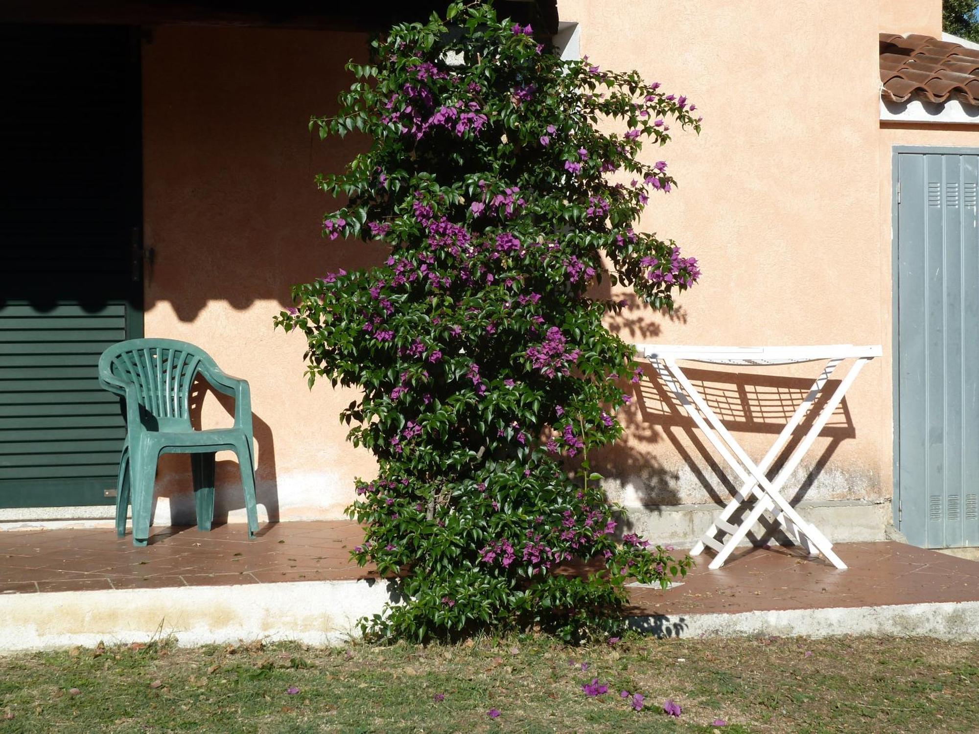Agriturismo Vaddidulimu Luogosanto Bagian luar foto