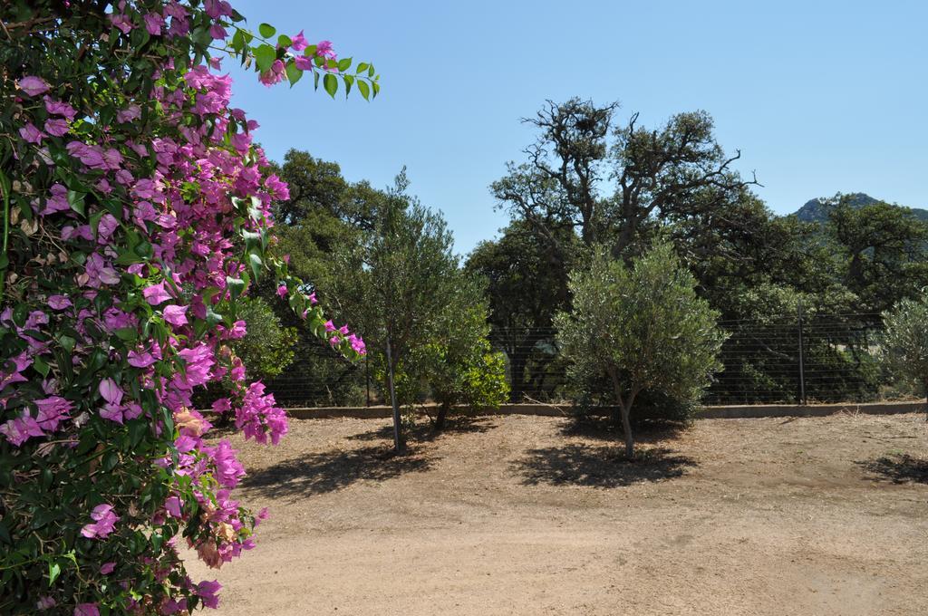 Agriturismo Vaddidulimu Luogosanto Bagian luar foto
